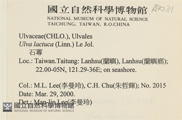 大石蓴, 石蓴藏品圖，第2張