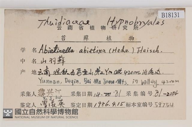 山羽蘚藏品圖，第2張