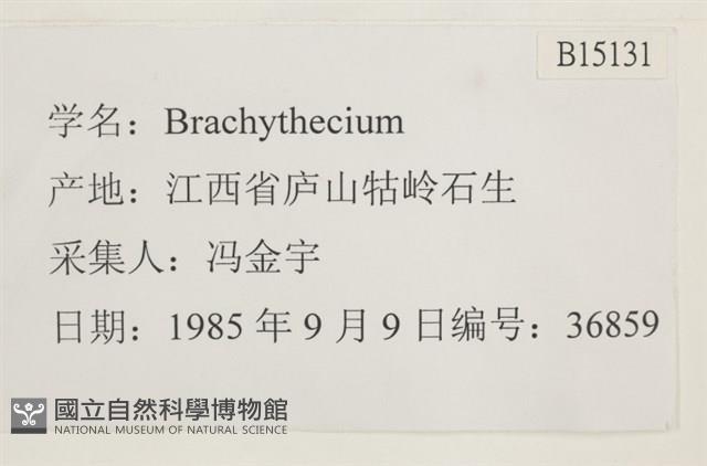 登錄號:B00015131藏品圖，第2張