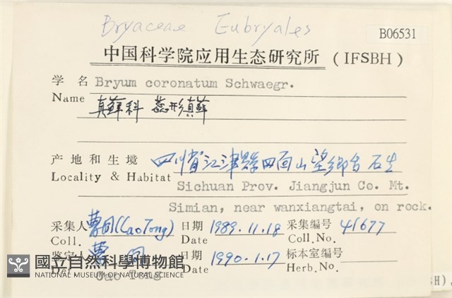 蕊形真蘚藏品圖，第2張