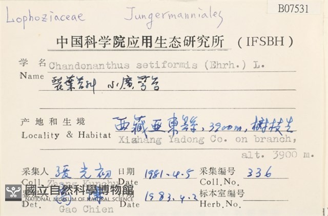 小廣萼苔藏品圖，第2張