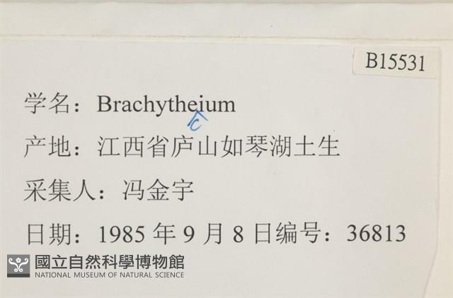 登錄號:B00015531藏品圖，第2張