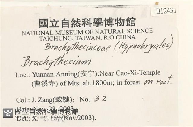 登錄號:B00012431藏品圖，第2張