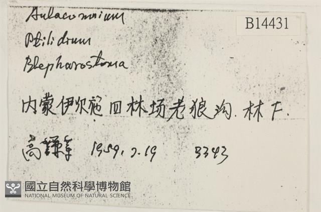 登錄號:B00014431藏品圖，第2張