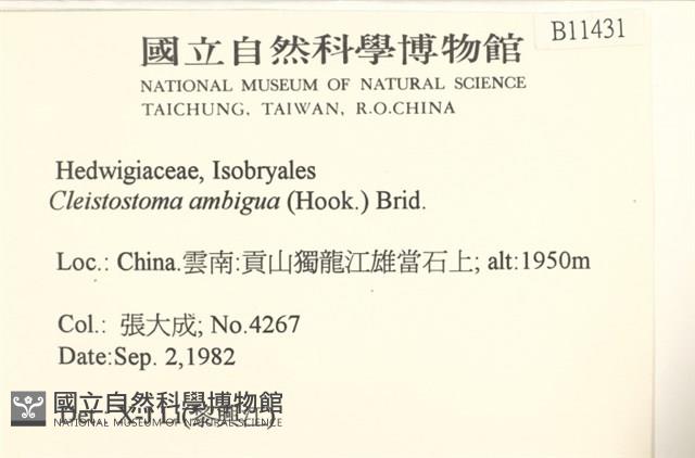 蔓枝蘚藏品圖，第2張