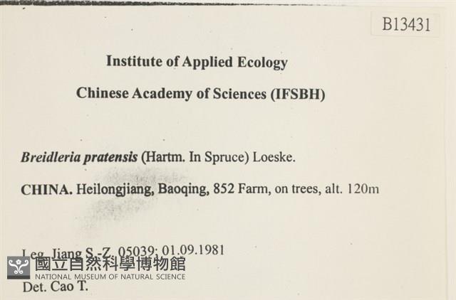 扁灰蘚藏品圖，第2張