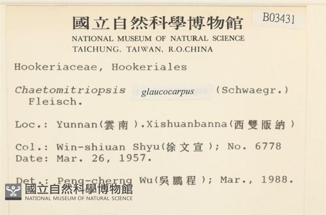 灰果蘚藏品圖，第2張