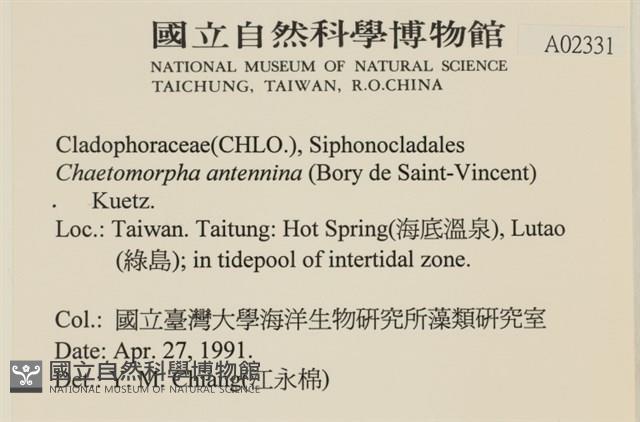 登錄號:A00002331藏品圖，第2張