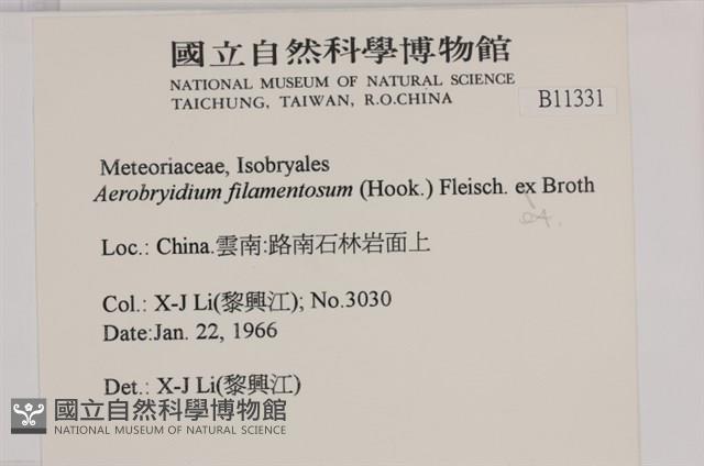 毛扭蘚藏品圖，第2張