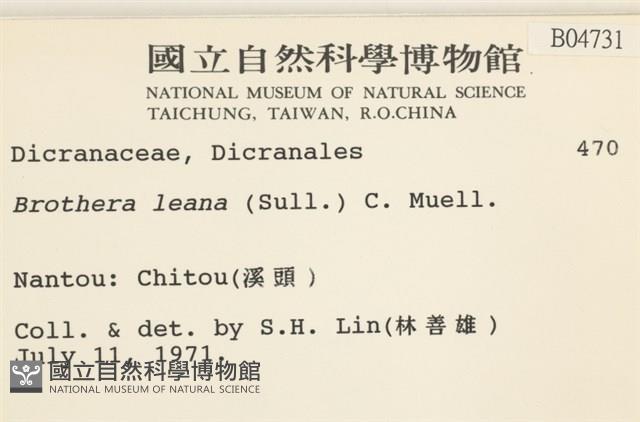 登錄號:B00004731藏品圖，第2張