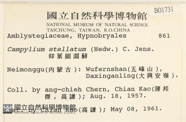 登錄號:B00001731藏品圖，第2張