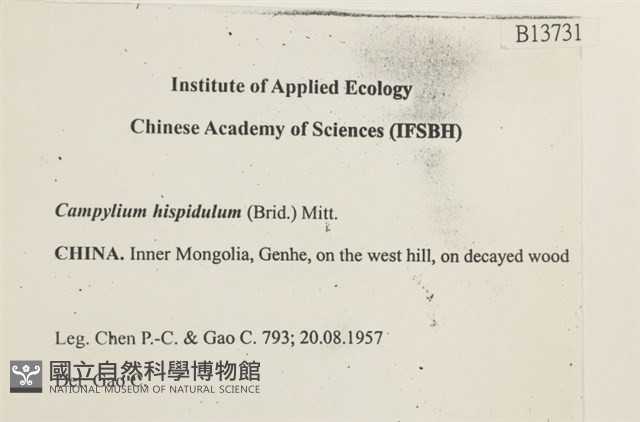 登錄號:B00013731藏品圖，第2張