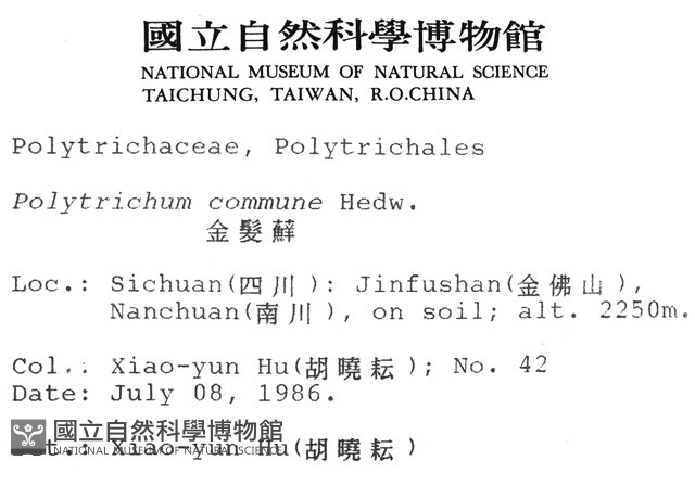 金髮蘚藏品圖，第2張