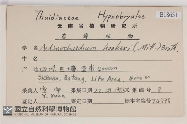 館號:B00018651藏品圖，第2張