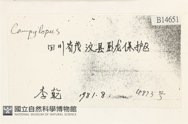 登錄號:B00014651藏品圖，第2張