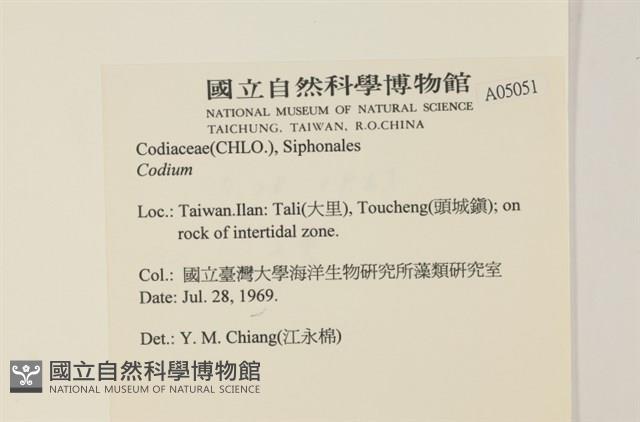 登錄號:A00005051藏品圖，第2張