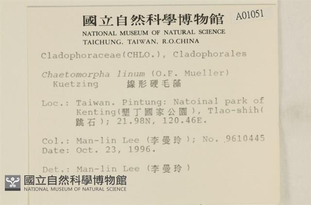 登錄號:A00001051藏品圖，第2張