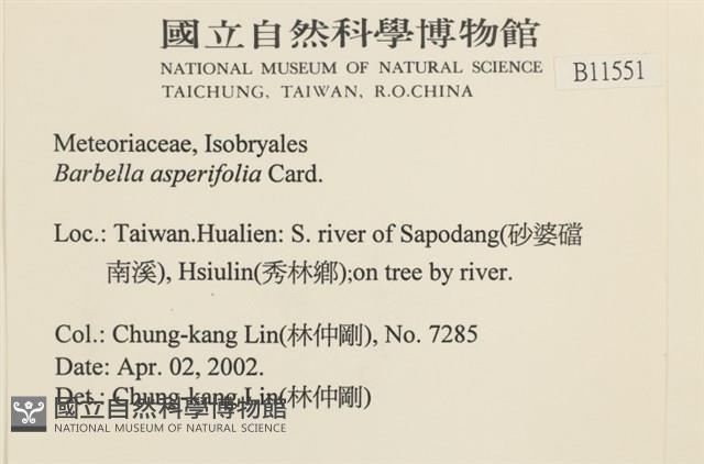 登錄號:B00011551藏品圖，第2張