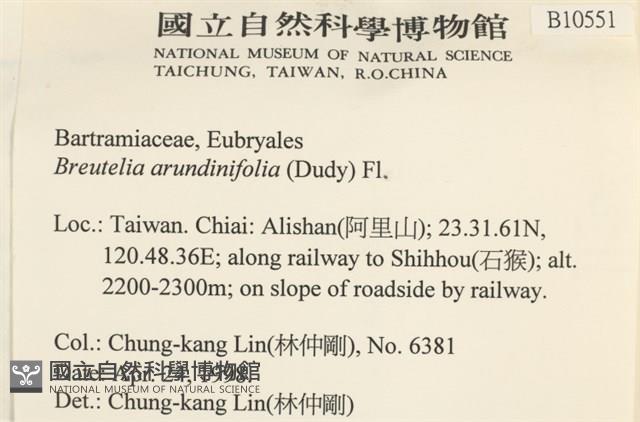 大熱澤蘚藏品圖，第2張