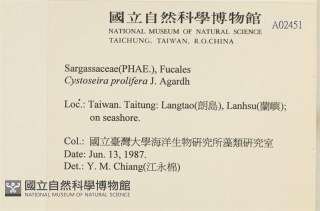 登錄號:A00002451藏品圖，第2張