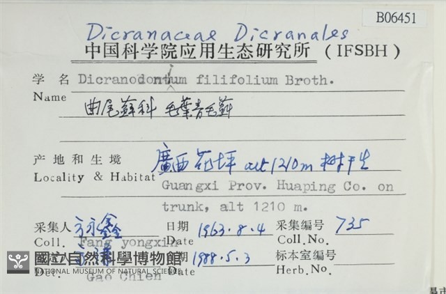 毛葉青毛蘚藏品圖，第2張