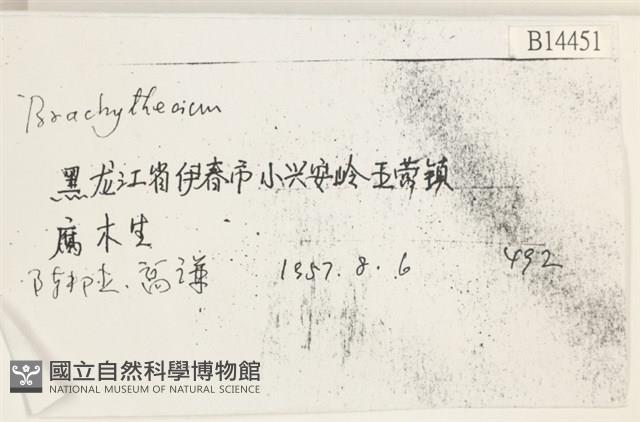 Accession Number:B00014451 Collection Image, Figure 2, Total 2 Figures