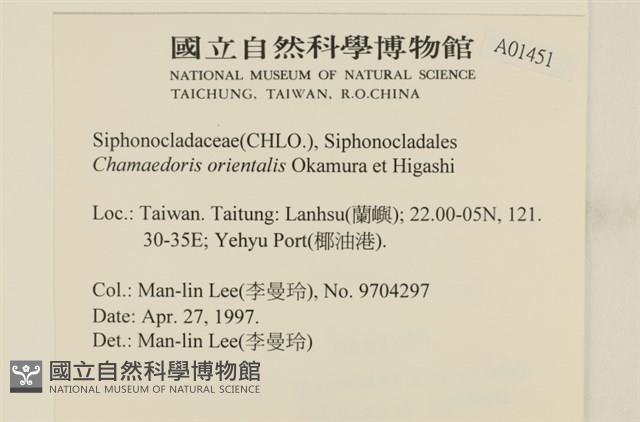 登錄號:A00001451藏品圖，第2張