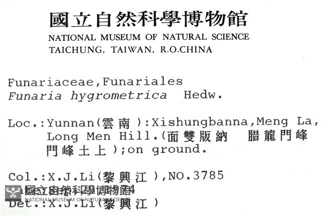 葫蘆蘚藏品圖，第2張