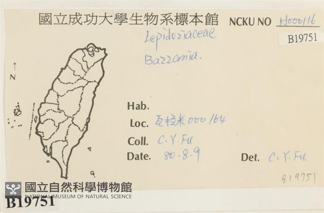 登錄號:B00019751藏品圖，第2張