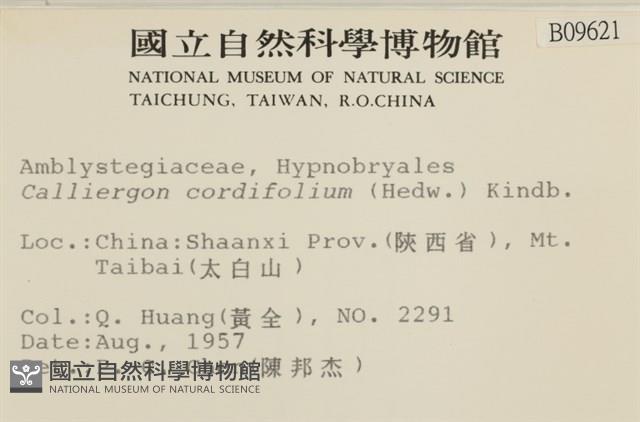 濕原蘚藏品圖，第2張