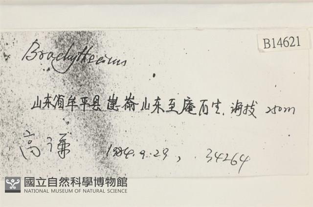 登錄號:B00014621藏品圖，第2張