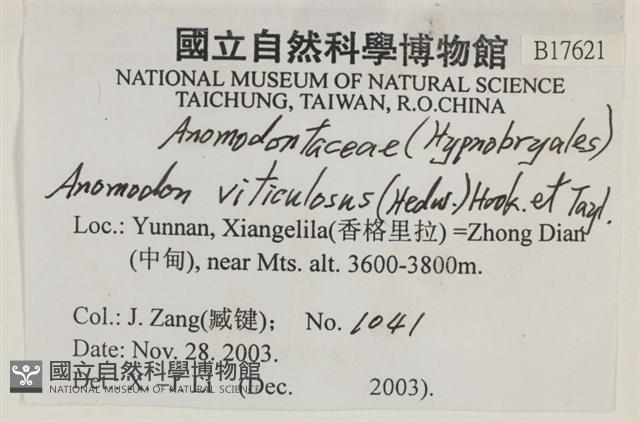 登錄號:B00017621藏品圖，第2張