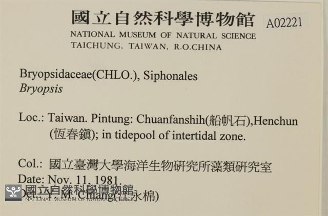 登錄號:A00002221藏品圖，第2張