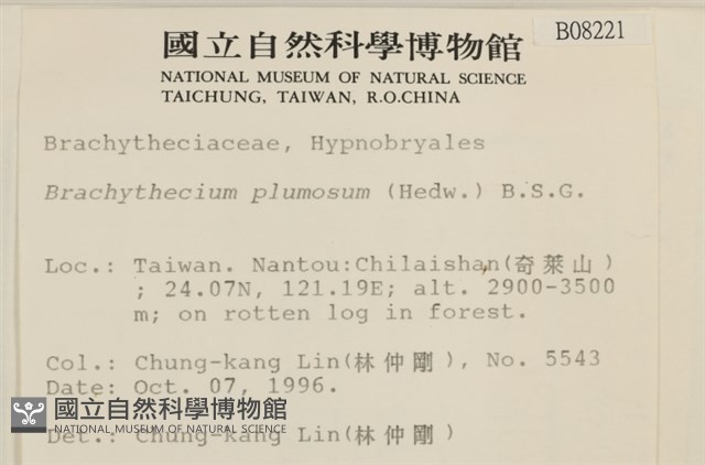 羽枝青蘚藏品圖，第2張