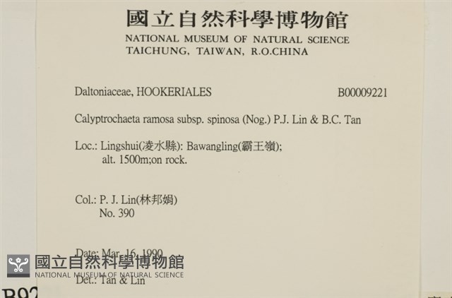 登錄號:B00009221藏品圖，第2張