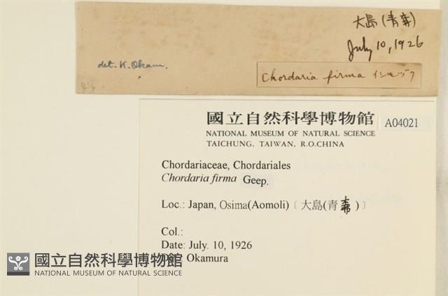 登錄號:A00004021藏品圖，第2張