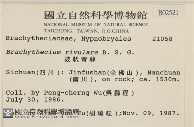 溪邊青蘚藏品圖，第2張