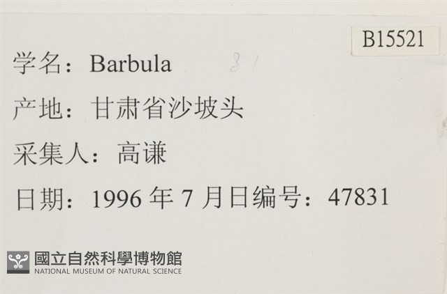 登錄號:B00015521藏品圖，第2張
