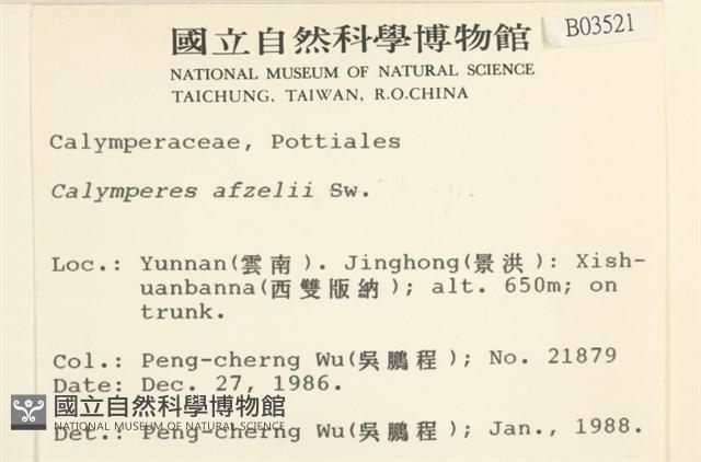 登錄號:B00003521藏品圖，第2張