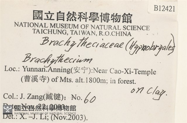 登錄號:B00012421藏品圖，第2張