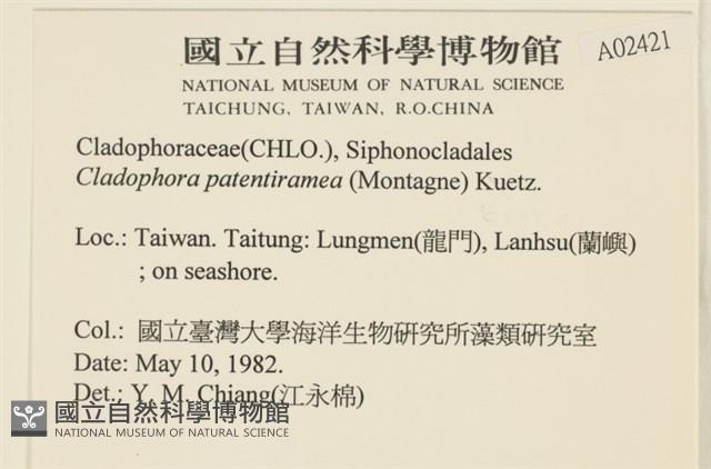 登錄號:A00002421藏品圖，第2張