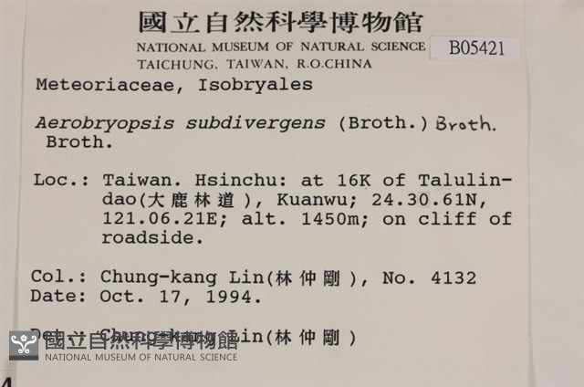 大灰氣蘚藏品圖，第2張
