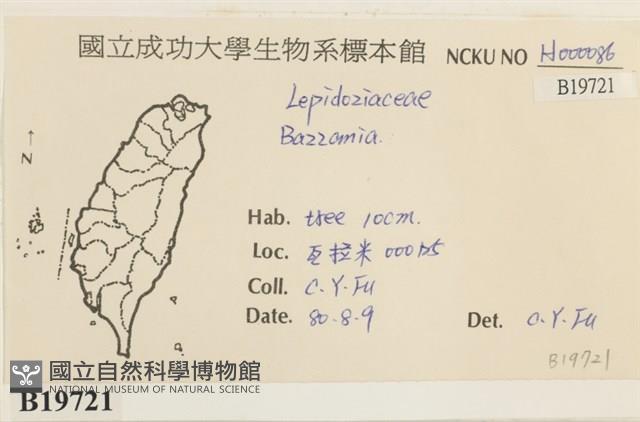 登錄號:B00019721藏品圖，第2張