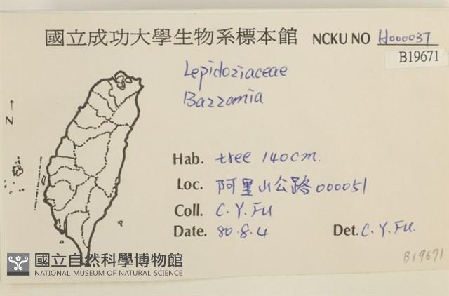 登錄號:B00019671藏品圖，第2張