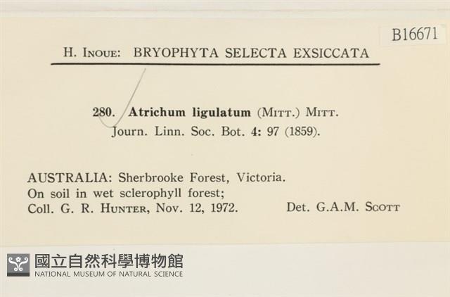 登錄號:B00016671藏品圖，第2張