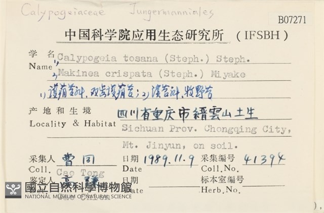 雙齒護蒴苔藏品圖，第2張