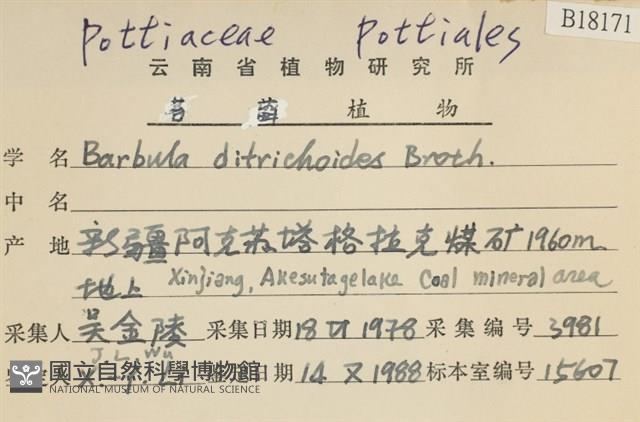 登錄號:B00018171藏品圖，第2張