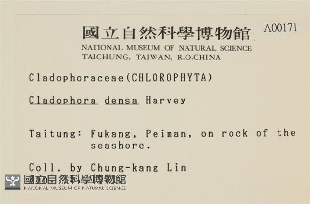 登錄號:A00000171藏品圖，第2張