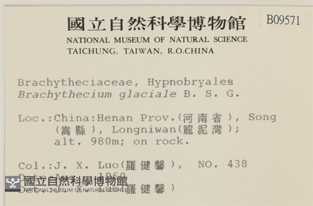 登錄號:B00009571藏品圖，第2張