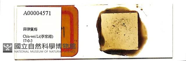 登錄號:A00004571藏品圖，第1張